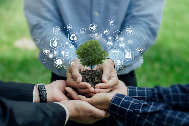 Carbon Neutral Solutions